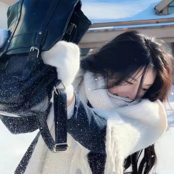 不二神探
